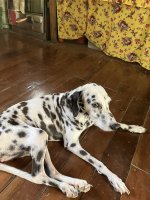 IMG_1139.jpeg