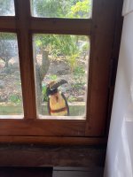 IMG_1048.jpeg