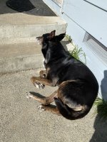 IMG_8790.jpeg