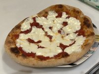 IMG_1355.jpeg