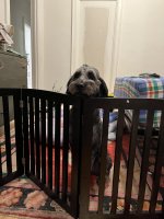 IMG_1457.jpeg