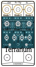 Terrarium Graphic with Board.jpg