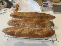 IMG_1523.jpeg