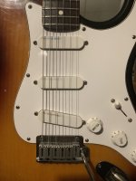 IMG_1602.jpeg