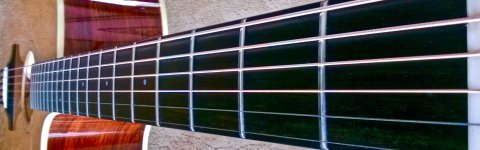 Breedlove_Wide_Neck_Smaller.jpg