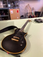 IMG_5943.jpeg
