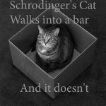 Schrödingers cat.jpg