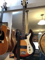 IMG_0366.jpeg