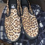 IMG_3293.jpeg