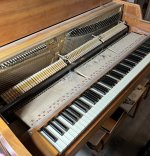 IMG_0638.jpeg