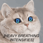 heavy-breathing-heavy-breathing-cat.gif