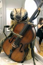 Bass Player fly.jpg