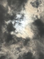 IMG_4581.jpeg