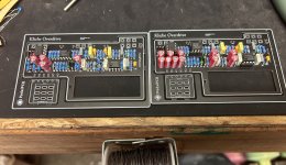 IMG_6461.jpeg