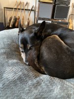 IMG_9029.jpeg