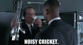 IMG_4598.gif