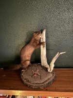 IMG_0763.jpeg