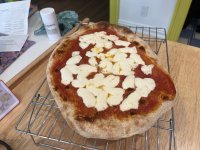 IMG_1950.jpeg