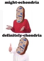 1000007073.jpg