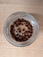 1000004630.jpg