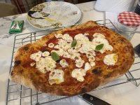 IMG_1989.jpeg