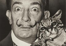 1-salvador-dali-and-pet-ocelot-cat-1965-roger-higgins.jpg