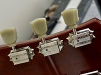 IMG_1770.jpeg