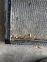 IMG_8305.jpeg