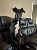 IMG_4455.jpeg
