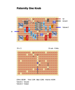Paternity One Knob.png