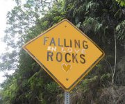 falling in love.jpg