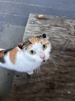 IMG_6908.jpeg
