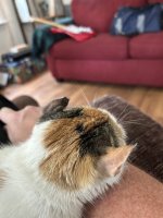 IMG_6924.jpeg
