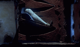IMG_4880.gif