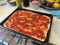 IMG_2396.jpeg