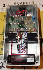 Snapper Custom Overdrive Pedal 2.jpg