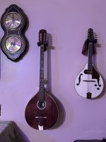 Bouzouki.JPEG