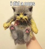 did-oops.jpeg