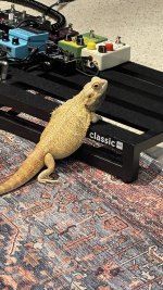IMG_2870 2.jpg