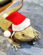 54E30603-62B5-486D-B8E0-F79B9C2BEBEE 2.JPG