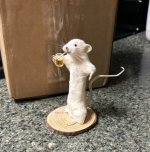 IMG_1175.jpeg