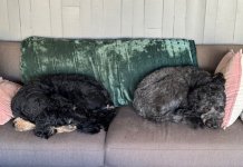 IMG_0266.jpeg