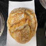 IMG_3557.jpeg