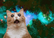 SPACE CAT.GIF