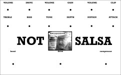 NotNYCitySalsa.jpeg