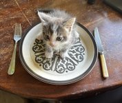 IMG_7259.jpeg