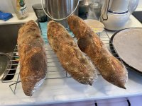 IMG_2595.jpeg