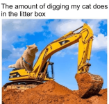 amount-digging-my-cat-does-litter-box-9-cat.png