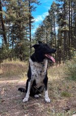 IMG_0271.jpeg