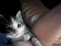 IMG_7334.jpeg